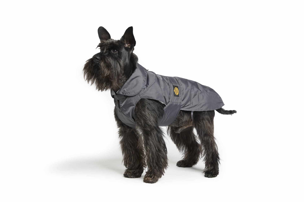 FASHION DOG CANE CAPPOTTO IMPERMEABILE CON AGNELLINO TG. 51 GRIGIO