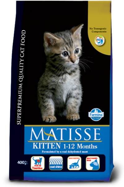 Matisse kitten 10 kg