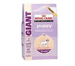 Size health nutrition giant puppy 15 kg