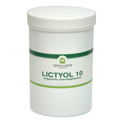 Lictyol 10% equini 1000g