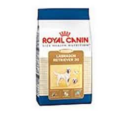 Breed health nutrition labrador retriever adult 12 kg