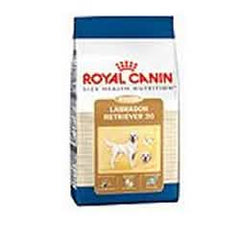 Breed health nutrition labrador retriever adult 12 kg