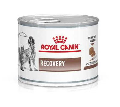 Veterinary diet wet dog & cat recovery 195 g
