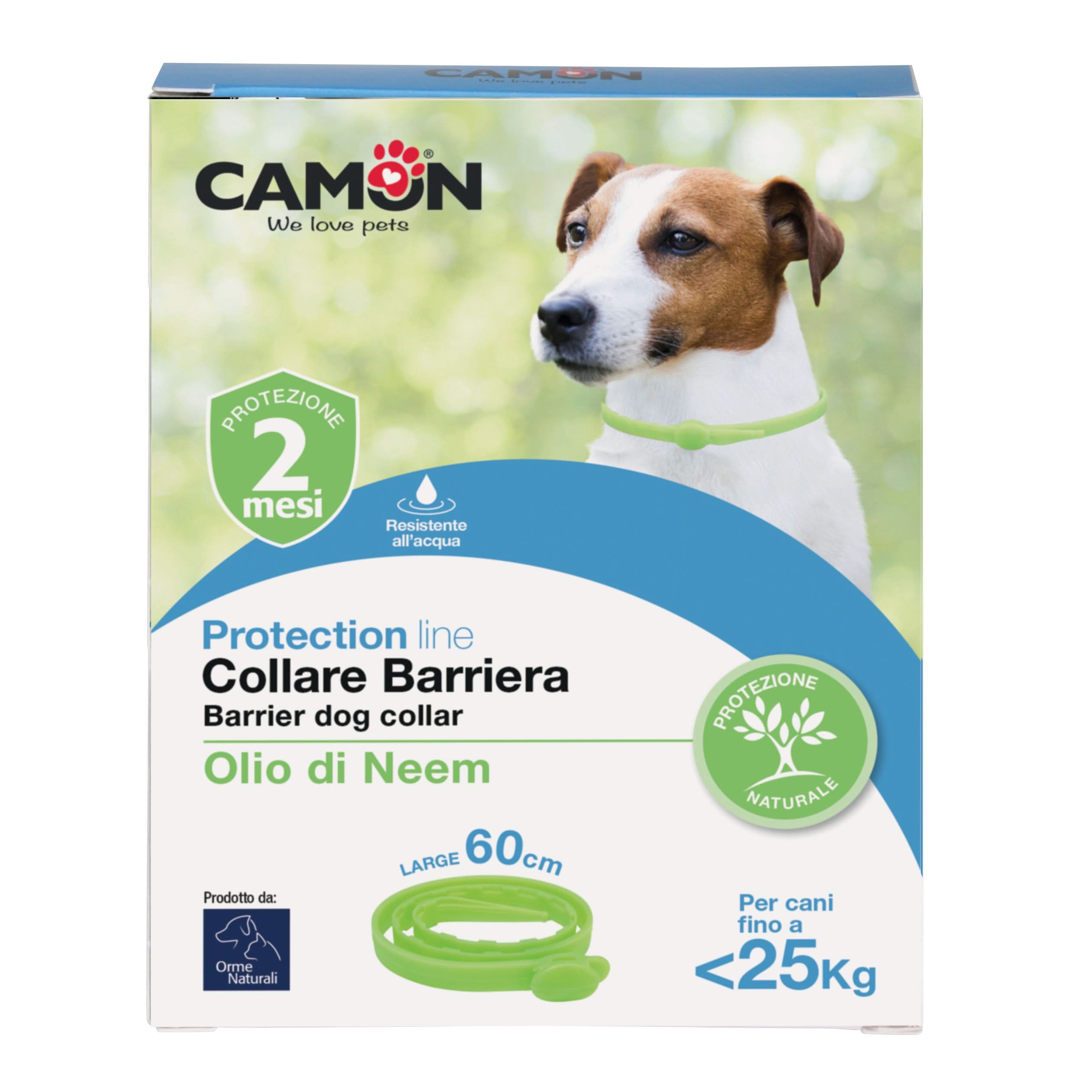 Protection collare barriera per cane - Scodinzolando