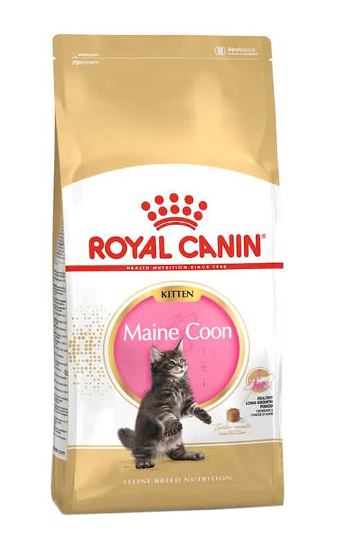 Feline breed nutrition maine coon kitten 4 kg