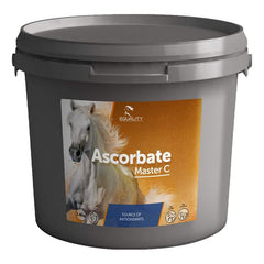 Ascorbate master c barattolo 1,8 kg