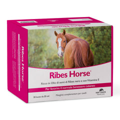 Ribes horse 30 buste