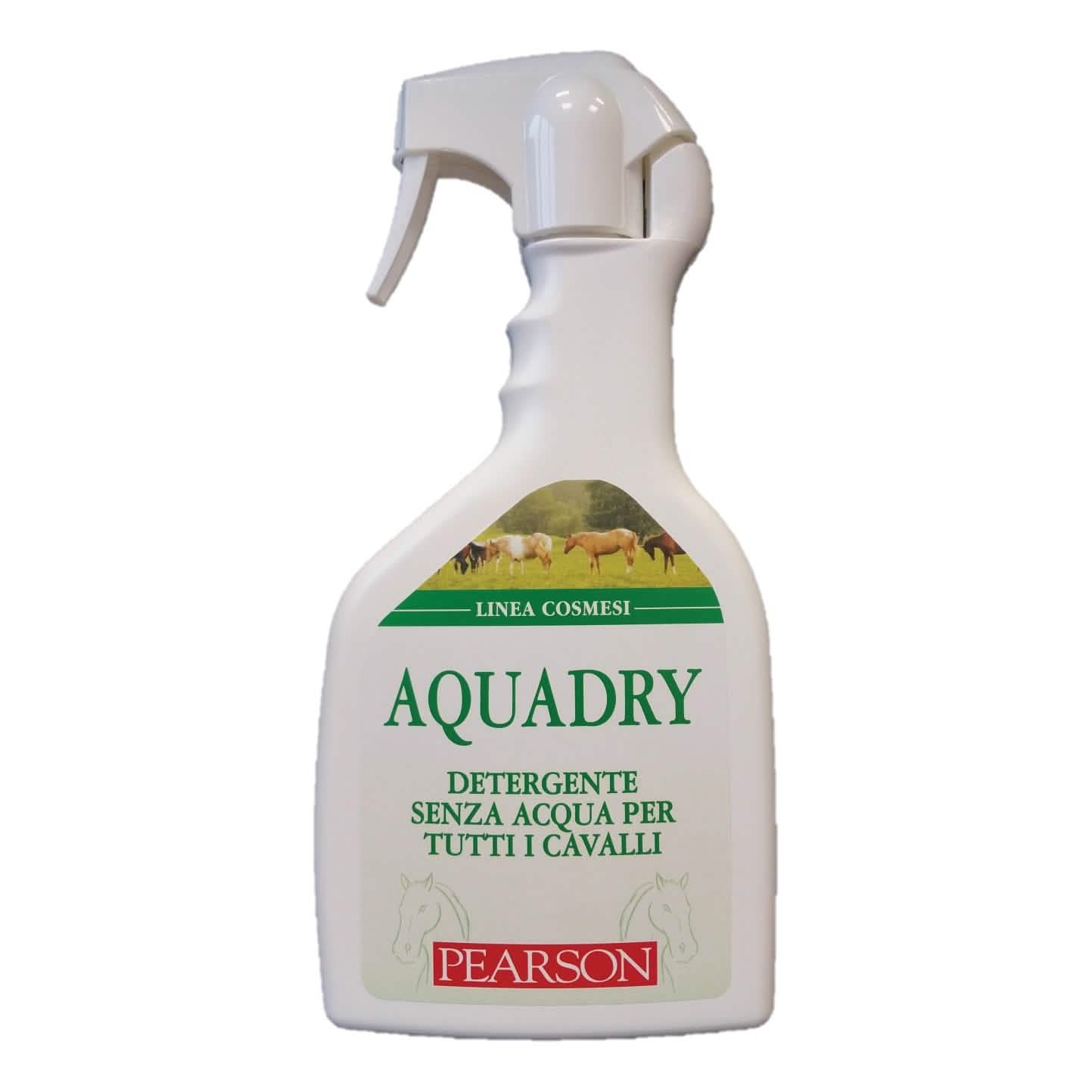 Aqua Dry Detergente Senza Acqua 700ml