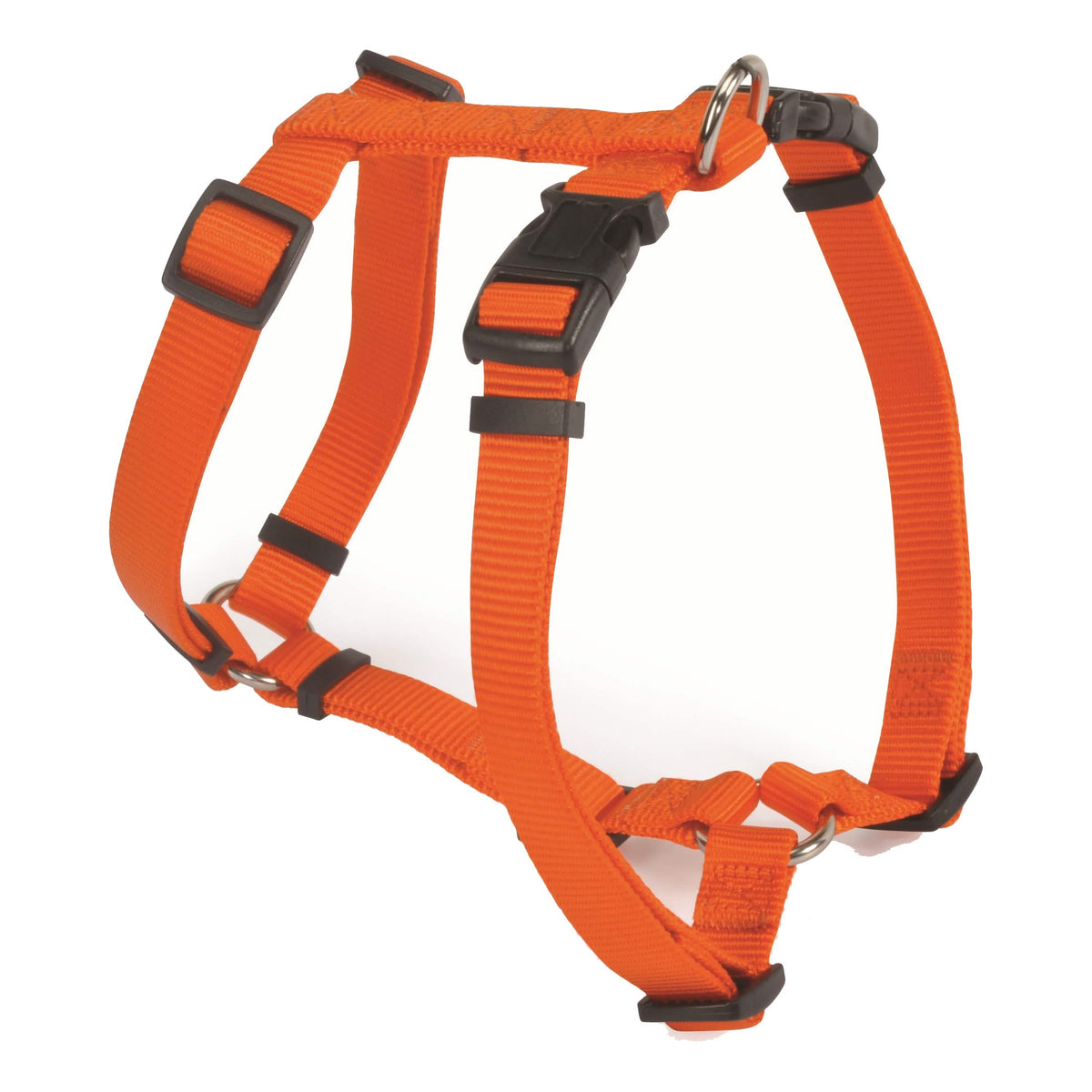 Camon pettorina h ny f025/08 arancio 15mm circolare 45cm