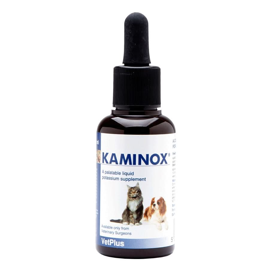 Kaminox sciroppo 60 ml - Scodinzolando
