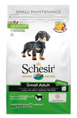 Schesir dog dry mantenimento ricco in agnello small 800 g