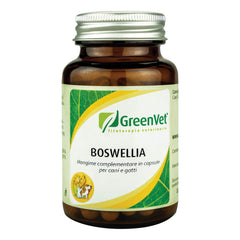 Greenvet boswellia 60 capsule