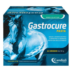 Gastrocure 24 siringhe preriempite mangime complementare in pasta cavalli