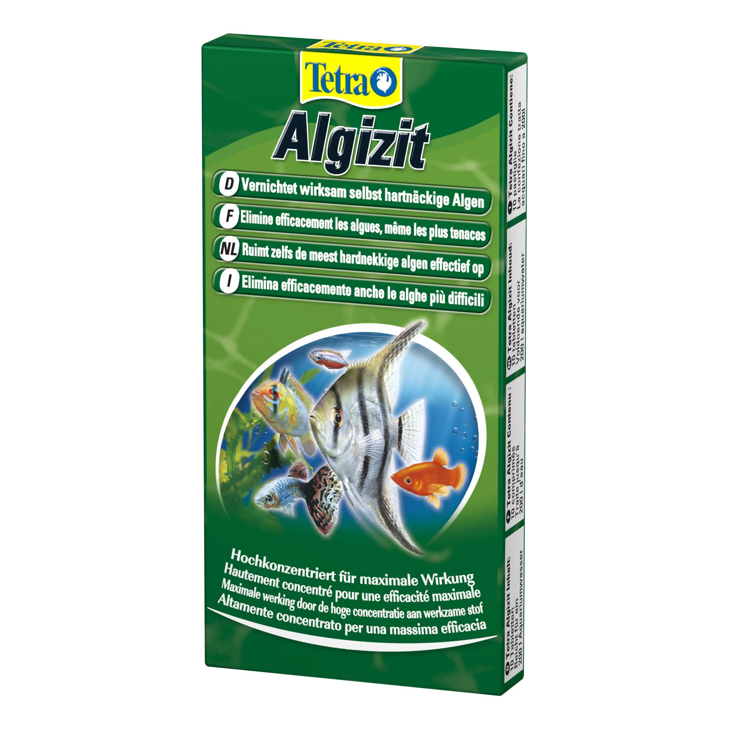 Algizit 10 Tav