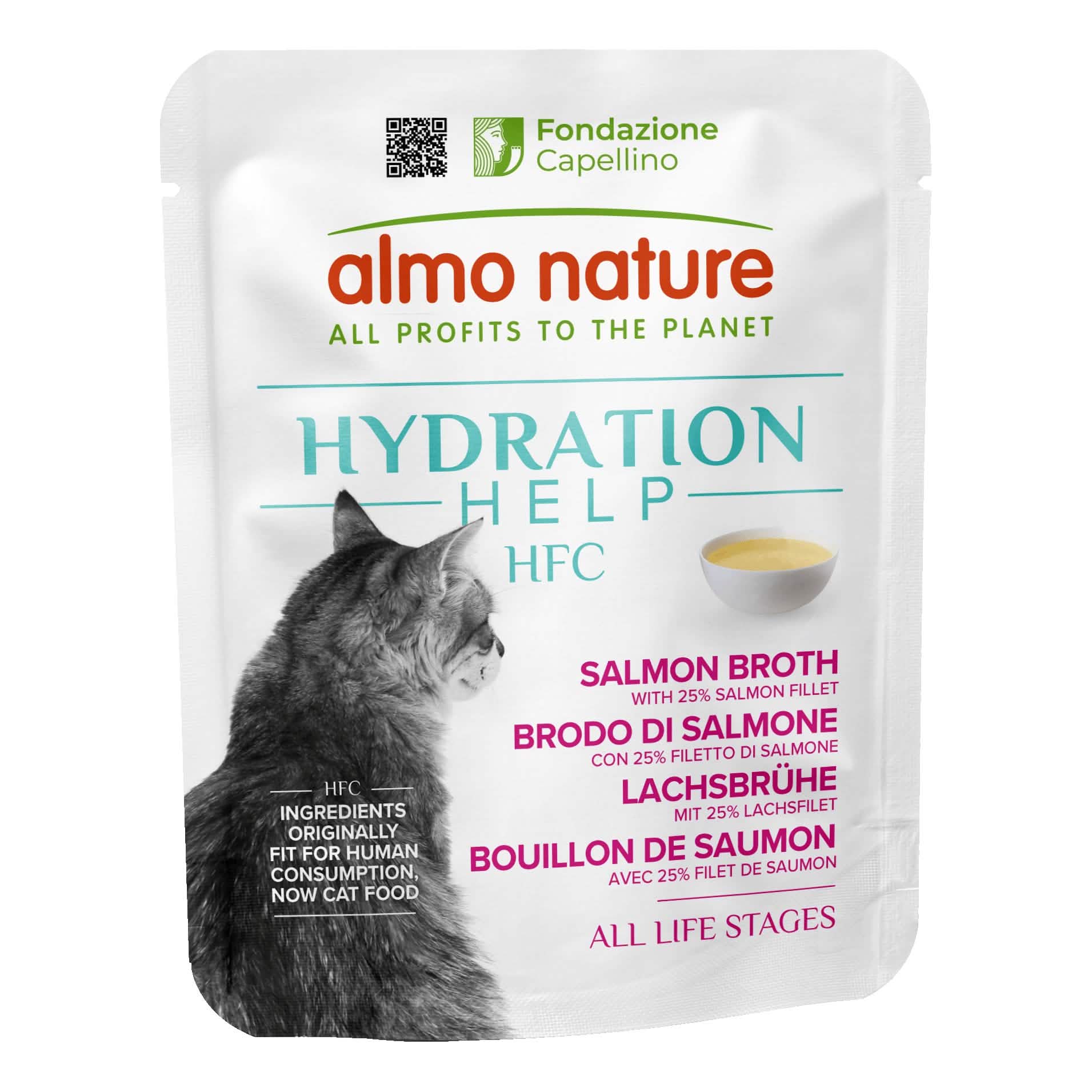 Almo Hydration Help Brodo Salmone con Filetti di Salmone 50g