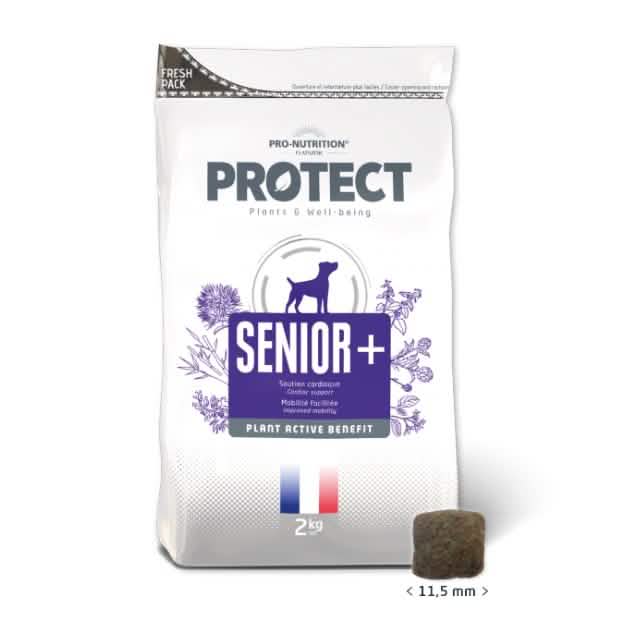 FLATAZOR PROTECT CANE SENIOR+ 12 KG