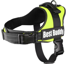 Pettorina in Nylon Imbottita Neon Verde per Cani Best Buddy Pluto