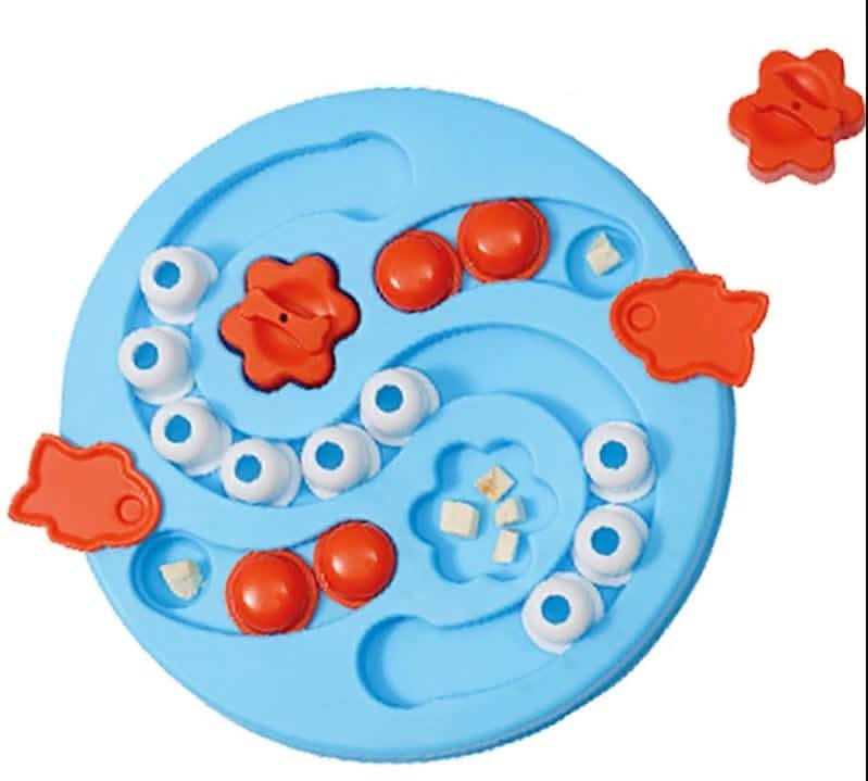M-PETS CANE GIOCO MENTALE EINSTEIN LIVELLO 3 DIFFICILE 29,5X29,5X5 CM