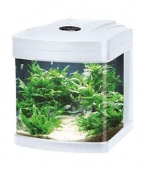 MANTOVANI PESCI ACQUARIO CUBINO LED BIANCO 27 LT