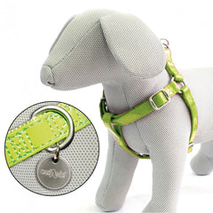 Petto Rappresentante Similpelle Glossy Regolabile 50-75 cm x 20 mm Verde