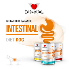 DISUGUAL Cane Diet Intestinal Manzo 400 gr