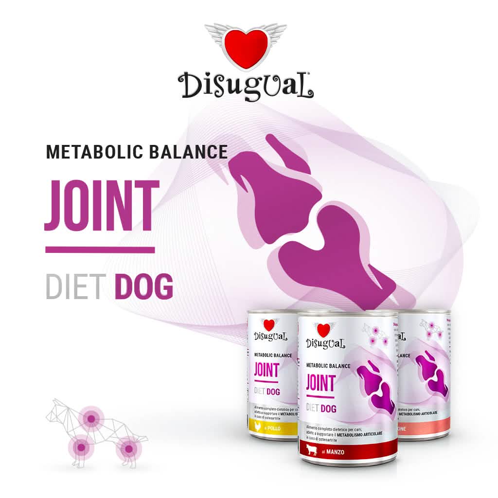 DISUGUAL Cane Diet Joint Pollo 400 gr