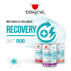 DISUGUAL Cane Diet Recovery Anatra 400 gr