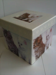 SCATOLA ANIMALI 17X17X16CM