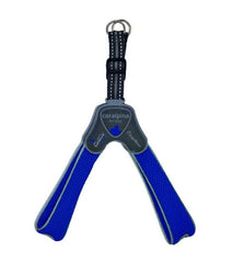 Cane Pettorina Coralpina 5Torri TG. 8 60-70 cm Blu Elettrico