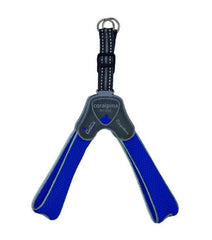 Cane Pettorina Coralpina 5Torri TG. 8 60-70 cm Blu Elettrico