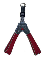 CORALPINA Cane Pettorina 5Torri TG. 8 Rosso Vino