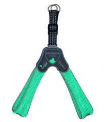 CORALPINA CANE PETTORINA 5TORRI TG. 1 TURCHESE