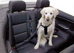 CANE PETTORINA REGOLABILE PER AUTO KERBL TG. L NERO