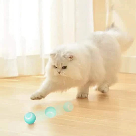 Giocattolo per Gatti-Cani Smart Ball