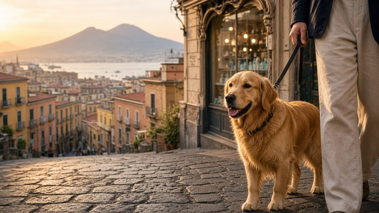 Skyline e atmosfera urbana di Napoli con riferimento a cura degli animali domestici
