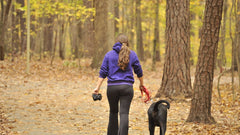 Ragazza che passeggia con il cane in un bosco autunnale