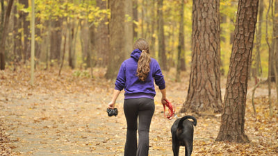 Ragazza che passeggia con il cane in un bosco autunnale