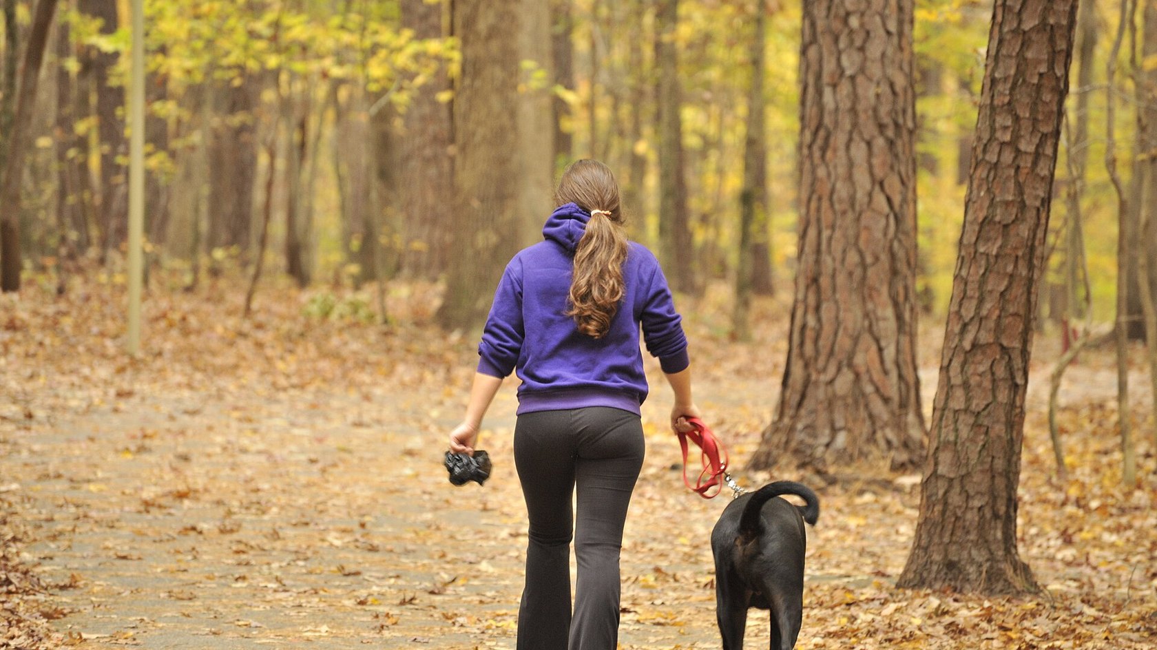 Ragazza che passeggia con il cane in un bosco autunnale