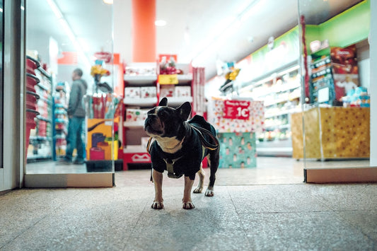 Professional Shop Animali: cos'è e perché conviene per il tuo pet
