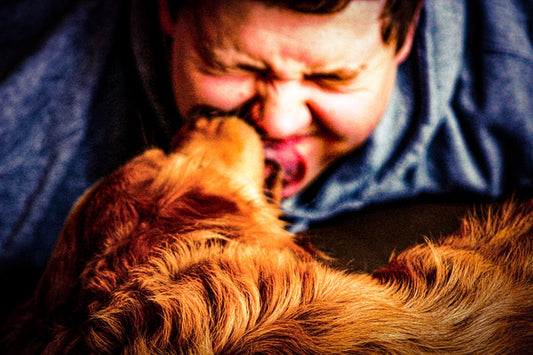 Acciu! Perché il tuo cane starnutisce e quando preoccuparsi