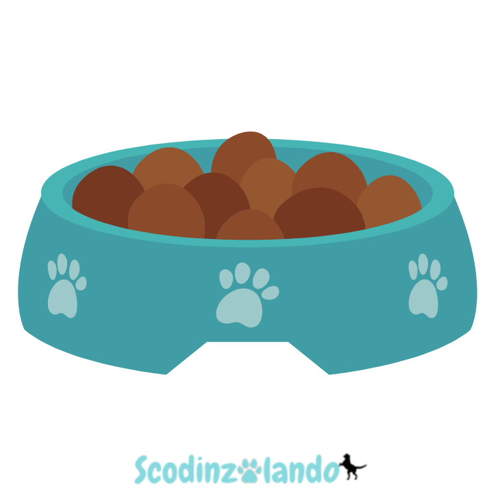 Cibo per Cani