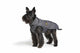 FASHION DOG CANE CAPPOTTO IMPERMEABILE CON AGNELLINO TG. 51 GRIGIO