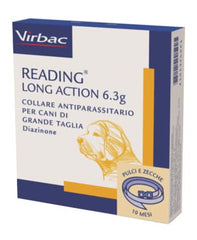 Reading long act*cani grandi