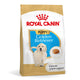 Breed health nutrition golden retriever puppy 12 kg
