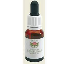 Jacaranda australian gocce 15 ml