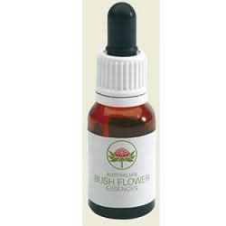 Jacaranda australian gocce 15 ml