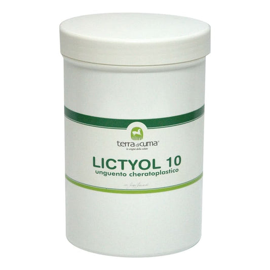Lictyol 10% equini 1000g