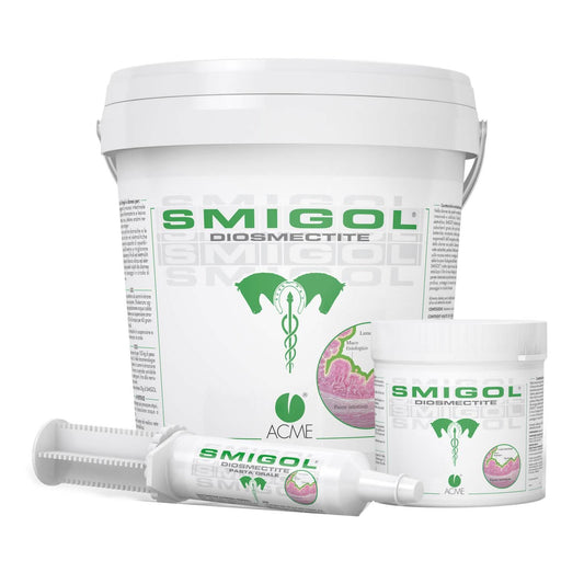 Smigol pasta siringa 100 g