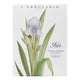 Iris sacchetto profumato cassetti