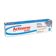 Actinorm pasta gatti 65 g